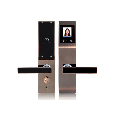 China Zinc Alloy Biometric Lock Based Palm and Face Recognition Door Lock with IC Card Function for sale