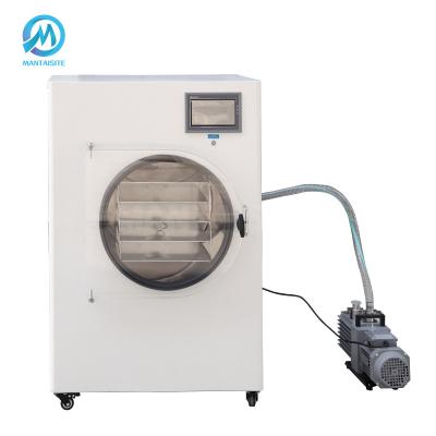 China Medicine Processing Industrial Home Vegetables and Fruits Lab Food Freeze Dryer Mini Freeze Dryer for sale