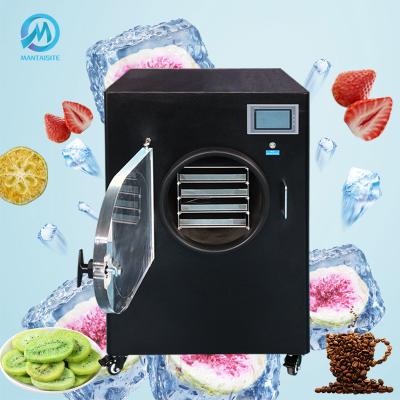 China Medicine Processing High Quality Vegetable Freeze Dryers Vacuum Freeze Dryer For Home Use for sale