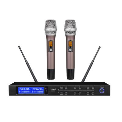 China Church Villar House Party Karaoke Pro KTV PLL UHF Microphone RA3330 Dual Channel Wireless Microphone Wedding Handheld Home Wireless Handheld Mics for sale