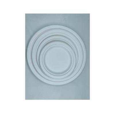 China Food Long life High quality Eco-Friendly Disposable Paper Plate Set Ideal for Events and Parties for sale