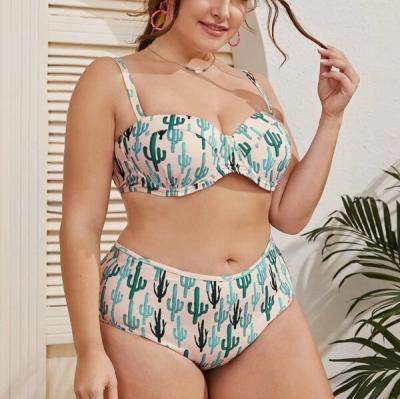 China 2020 New Ladies Breathable Plus Size Swimwear Hard Bikini Manufacturer Cactus Print Bag Steel Back Wholesale Swimwear for sale