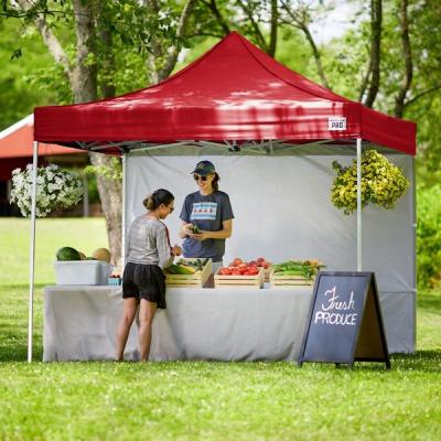 China Dye-sublimation 10'x10'x10' Advertising Promotion Display Gazebo Aluminum Folding Sunshade Tent for sale