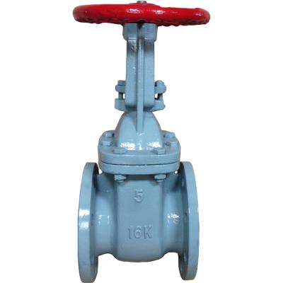 China General Quality-Guaranteed Sealed Malleable Iron Ring Stem Gate Valve JIS-16K for sale