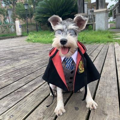 China Wholesale Viable Costume Halloween Cosplay Harry Potter Set Pet Dog Clothes for sale