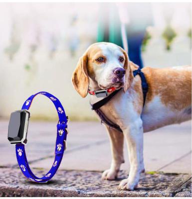 China Wholesale 4g ​​3g Gps Pet Tracker Chip Pet Studded Bully Dog Collar Gps Pet Tracker Gps Y-80 for sale