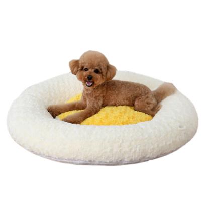 China Wholesale Waterproof Cheap Dog Bed Washable Cat Dog Pet Beds Velvet Memory Foam Dog Bed for sale