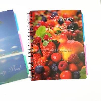 China Good Selling Spiral PP Cover A4 Spiral Notebook , Custom Grid Traveler Notebook for sale