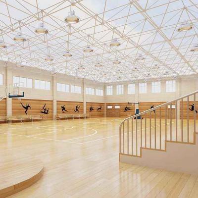 China New large span space design gymnasium light gauge steel sight grid frame structure for sale