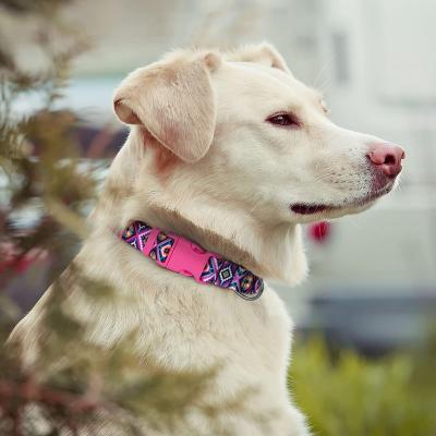 China Factory Sale Quick Release Nylon Pet Collars Adjustable Dog Cat Personalized Pet Collar For Small Medium Large Puppy With Buckle for sale