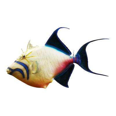 China Latest Design Queen Triggerfish Modern Home Interior Decorations Large Wall Decorations For Home Luxury Fish for sale