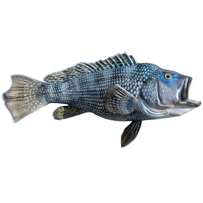 China Modern Interior Decorations Wall Decorations For Home Luxury Fish Black Sea Bass Modern Decor Plaque Mounted Fish Decor for sale