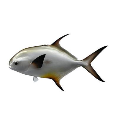 China Europe Custom Design 25 Inch Double Sided Clearance Fiberglass Fish Taxidermy Display Aquarium Decor Fish Frame for sale