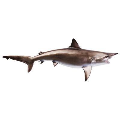 China Home Art Feature Wall Panels Decorative Eco-Friendly Taxidermied Mounted Faux Saltwater Game Fish Blacktip Shark for sale