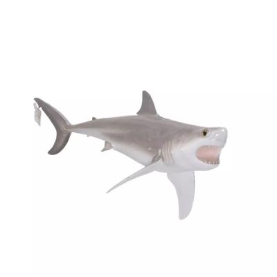 China Modern Custom Animal Sculpture Decoration Realistic Fiberglass Shark Outdoor Statue In Indoor Decorations for sale