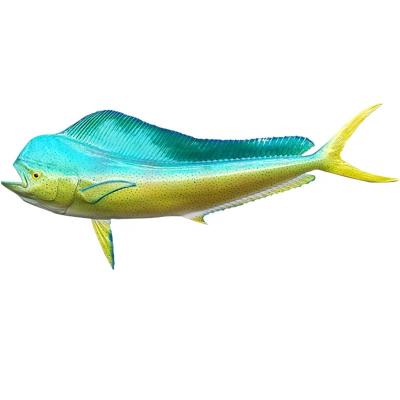 China Modern Interior Decorations Guaranteed Fish Plaque Quality Price Taurus 105x7x42 Dbd41lh Taurus-Mahi Wall Gift Craft Appropriate Decoration for sale