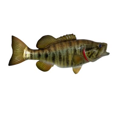 China Europe Wall Sculptures Hand Painted Hanging Miniature Smallmouth Bass Mounted Fish Wall Mount Trophy Taxidermy Plate 13 Inches for sale