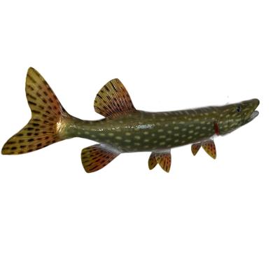 China Europe Wall Sculptures Mounted Hand Painted Hanging Plaque Miniature Northern Pike 19-INCH Fish Wall Mount Trophy Taxidermy for sale