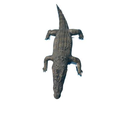 China Wholesale Fish Crocodile Resin Europe Ocean Decor Wall Hanging Art Decor for sale