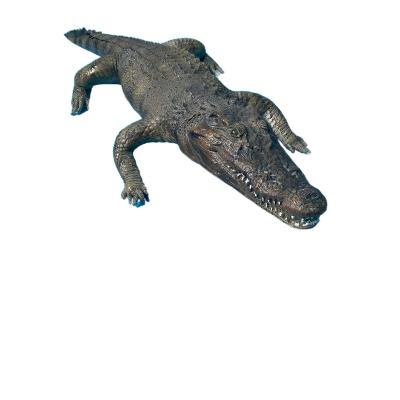 China Resin Crocodile Sea Europe Indoor Home Decoration Hanging Wall Art Decor Crafts for sale