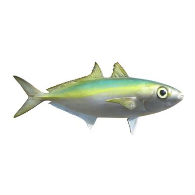 China Indoor Home Decoration Fish Europe Wall Hanging Resin Crafts Gift Pattern Decor for sale