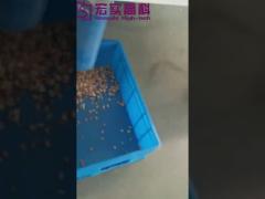 Hons+ SGS Peanut color sorting machine