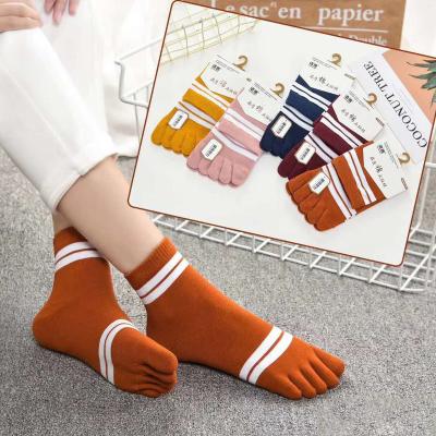 China Women Summer Spring Autumn Japanese Soft 5 Toe Socks Cotton Cartoon Cute Stripe Custom Sock For Teen Girl for sale