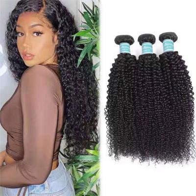 China High Quality Sale 12 A Kinky Curly Whole Steam Processed Brown Hd Tight Kinky Curly Vietnamese Cuticle Aligned Virgin Hair for sale