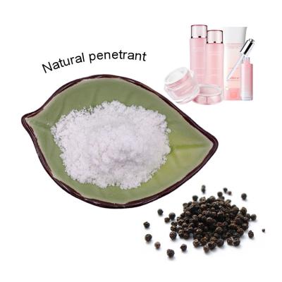 China Antibacterial Black Pepper Extract Powder Piperine 98% Health Care High Purity for sale