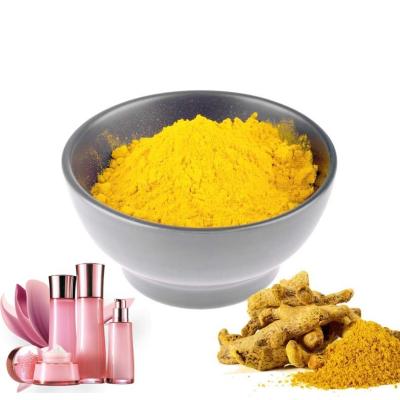 China Pure Natural Bulk Turmeric Extract Powder Curcumin 95% 98% Canned Food Use for sale