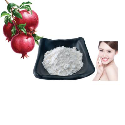 China Commercial 99% Plant Extract Powder Pomegranate Peel Extract Ellagic Acid for sale