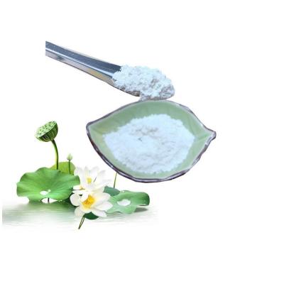 China Slimming Lotus Leaf Extract Natural 98% Nuciferine With Pharmaceutical Grade for sale