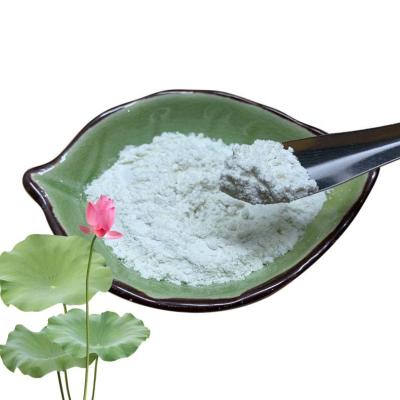 China Functional Lotus Leaf Extract 10% 50% 98% Nuciferine Powder Pharmaceutical Grade for sale