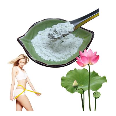 China 10% 50% 98% Lotus Leaf Extract Nuciferine Herbal Extract Powder Free Fatty Acids for sale