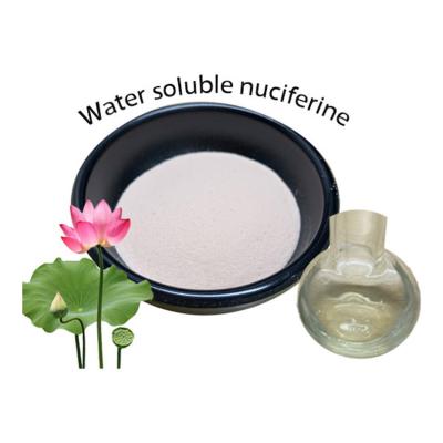 China Water Soluble Lotus Leaf Extract Powder Nuciferine 2% 5% For Blood Lipids for sale