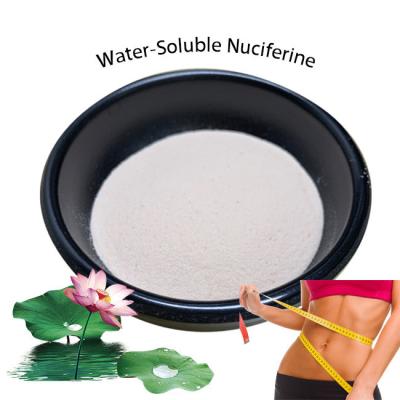 China ISO Water Soluble Lotus Leaf Extract Powder 2% 5% Nuciferine For Slimming for sale