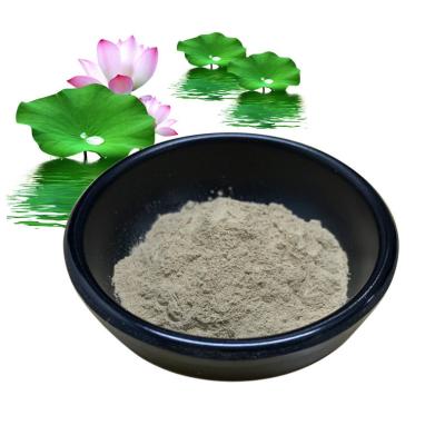 China Lotus Leaf Herbal Extract Powder 10% 50% 98% For Dieting Weight Control for sale