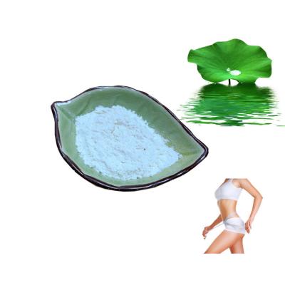 China Safe Lotus Flower Extract 98% Nuciferine Lose Weight Powder Lower Blood Lipids for sale