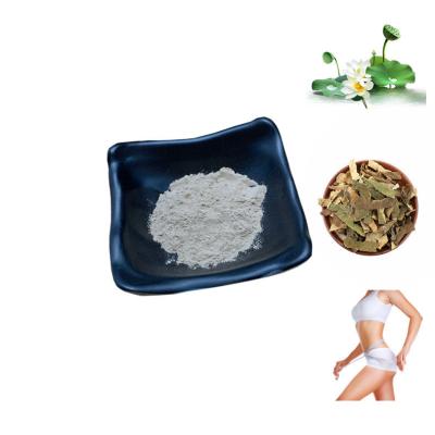 China Nuciferine Lotus Leaf Extract Powder 50% Relieve Intestinal Poisoning for sale