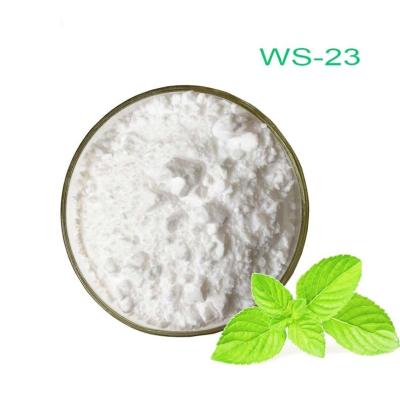 China Koolada Ws 23 Cooling Agent Cas 51115 67 4 Slight Menthol Odor Driving Insects for sale