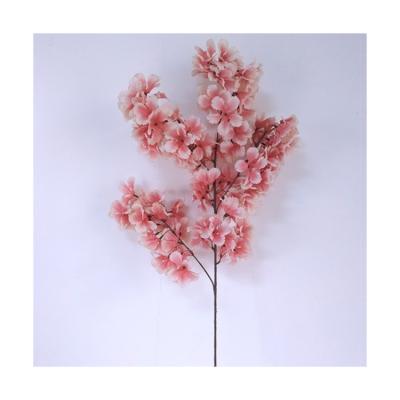 China Eco-friendly Supply Dried Sakura Flowers In Bulk Wholesale 3d Flower Wall Backdrop From China Manufacturer With Quality Guarantee for sale