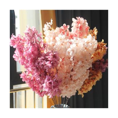 China Eco-Friendly Factory Wholesale Sakura Flowers Flower Backdrop Bulk Dry Press Wedding Preserved Flowers & Plants Highly Free Welcome (1 Piese) for sale