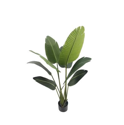 China Natural Touch Artificial Flowers Manufacturers Supplier Plants and Artificial Potted Trees Strelitziaceae Plants for Home Decoration for sale