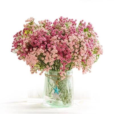 China Fashional Factory Wholesale Artificial Flowers Decor White Pink Baby's Breath Valentine Gifts Home Wedding Decoration for sale