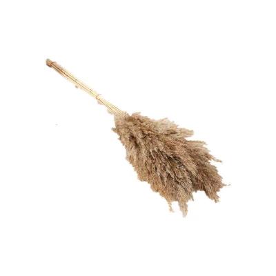 China Fashional Amazon Pampas Grass Hit Decoration Dried Flowers Brown White Plastic Artificial Grass Preserved Flowers And Plant Xiangxu for sale