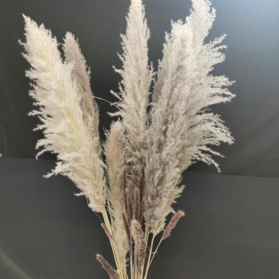 China Fashional Hot Selling Artificial Flowers And Plant Amazon Pampas Grass Cheap Bulk White Brown for sale