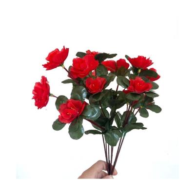 China Eco-friendly Manufacturer Supplier Supply Christmas Flower Decorations Dry Azalea Flower Backdrop With Long Life for sale