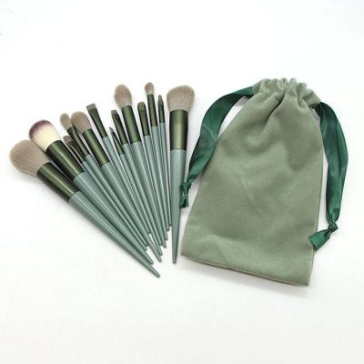 China Professional And Durable Women Profession Make Up Brushes 13pcs Colorful Plastic Green Handle Makeup Brush for sale