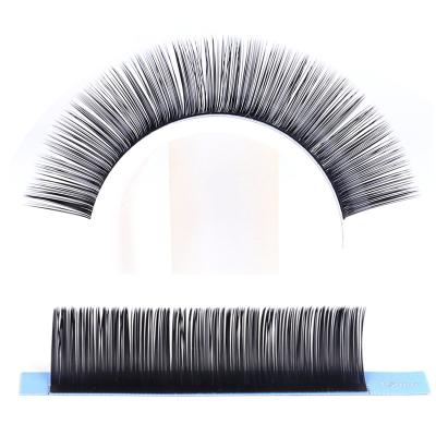 China Natural Daily Custom Long Eyelash Extension Trays Logo Volume Mink Eyelash Extension for sale