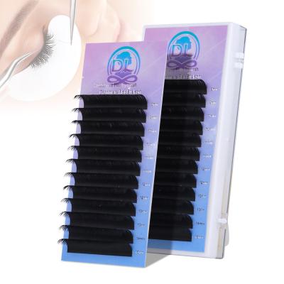 China Natural Daily Wholesale Private Label Long D Curl Lash Trays Ellipse Eyelashes Flat Person Premium Silk Ellipse Extension for sale